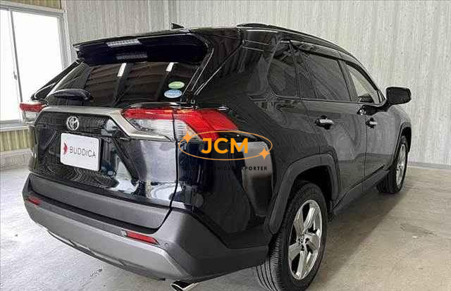 
								2019 TOYOTA RAV4 full									