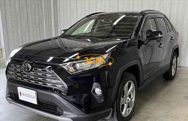 
								2019 TOYOTA RAV4 full									