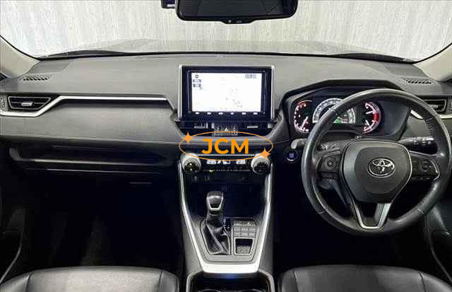 
								2019 TOYOTA RAV4 full									