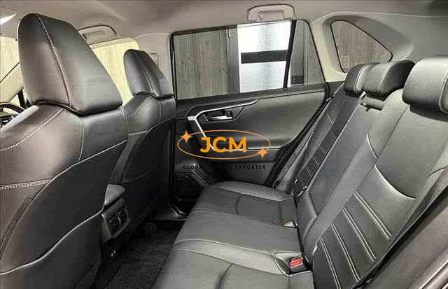 
								2019 TOYOTA RAV4 full									