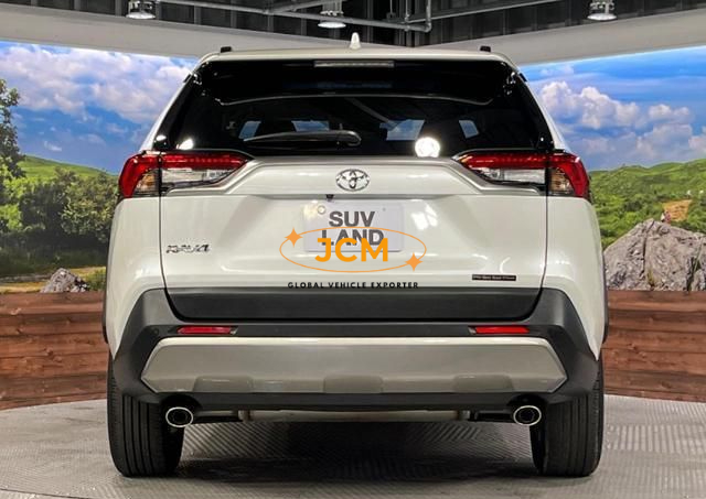 
								2023 TOYOTA RAV4 MXAA54 4WD full									