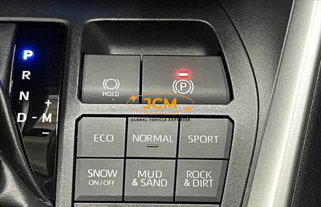 
								2019 TOYOTA RAV4 full									