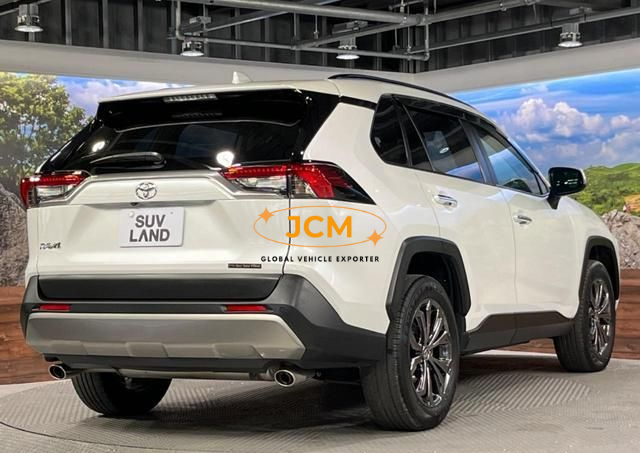 
								2023 TOYOTA RAV4 MXAA54 4WD full									