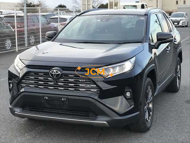 
								2023 TOYOTA RAV4 full									