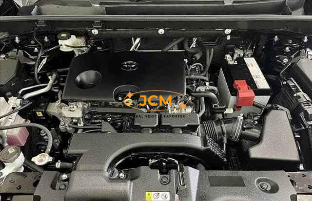 
								2019 TOYOTA RAV4 full									