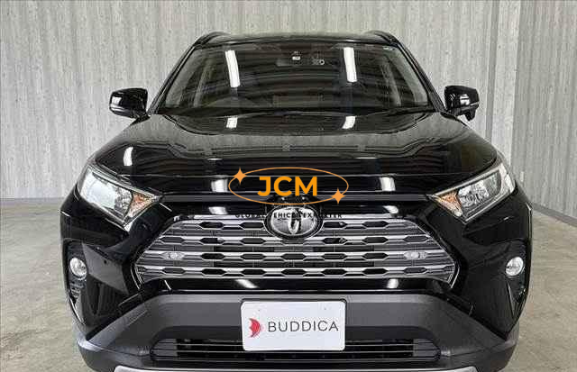 
								2019 TOYOTA RAV4 full									
