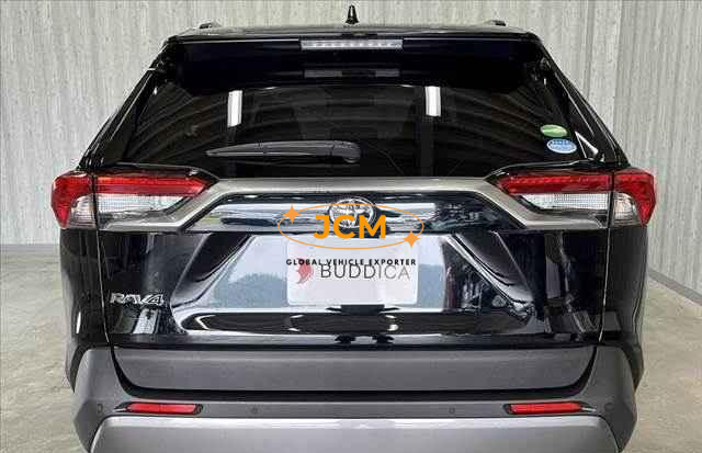 
								2019 TOYOTA RAV4 full									