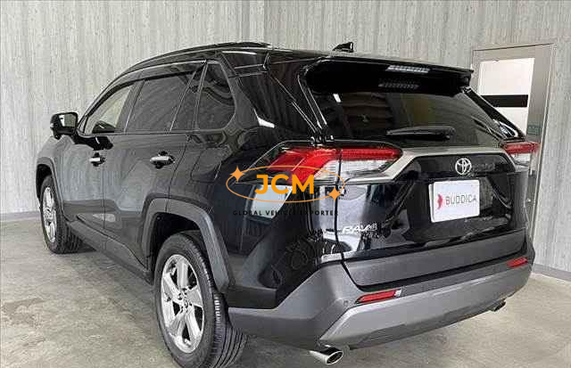 
								2019 TOYOTA RAV4 full									