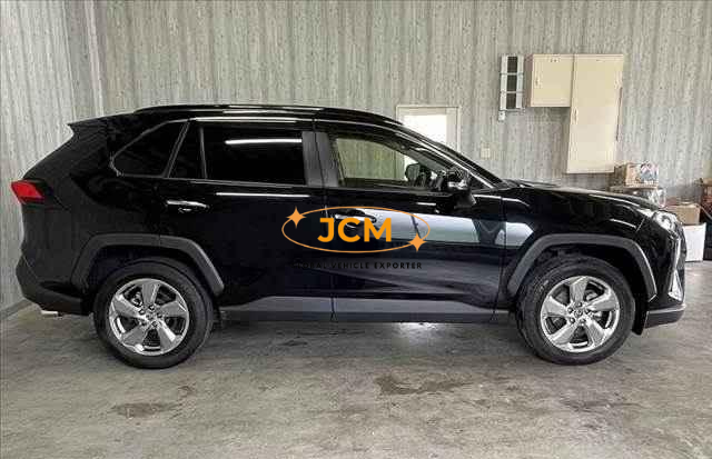 
								2019 TOYOTA RAV4 full									