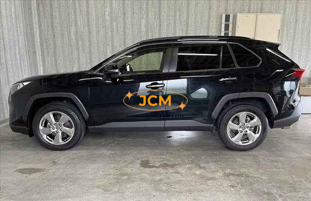 
								2019 TOYOTA RAV4 full									