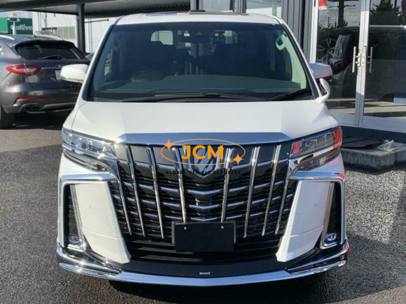 
								2019 TOYOTA ALPHARD DBA-AGH30W full									
