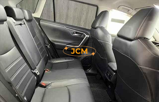 
								2019 TOYOTA RAV4 full									