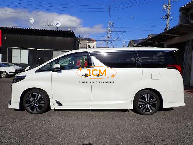 
								2018 TOYOTA ALPHARD DBA-AGH30W 2WD full									