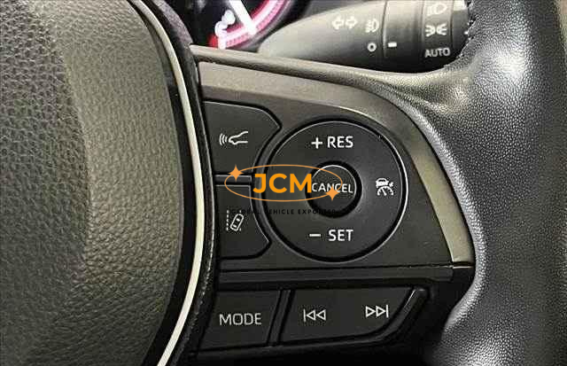 
								2019 TOYOTA RAV4 full									