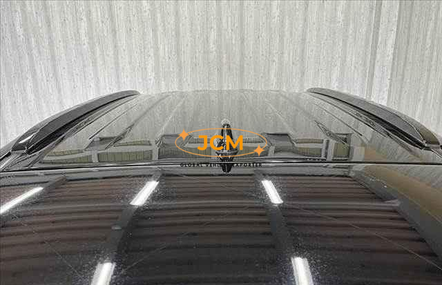 
								2019 TOYOTA RAV4 full									