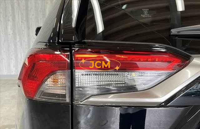 
								2019 TOYOTA RAV4 full									