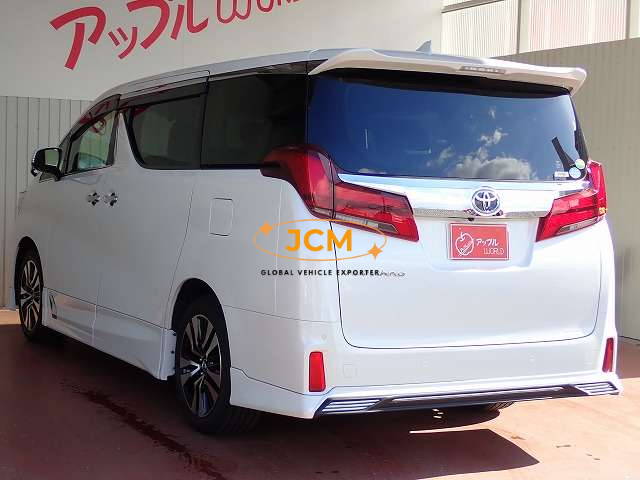 
								2018 TOYOTA ALPHARD DBA-AGH30W 2WD full									