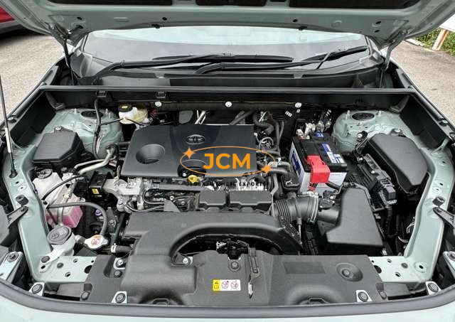 
								2020 TOYOTA RAV4 MXAA54 4WD full									