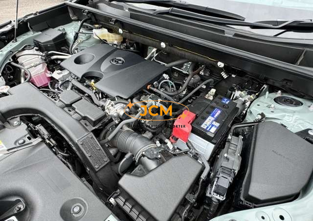 
								2020 TOYOTA RAV4 MXAA54 4WD full									