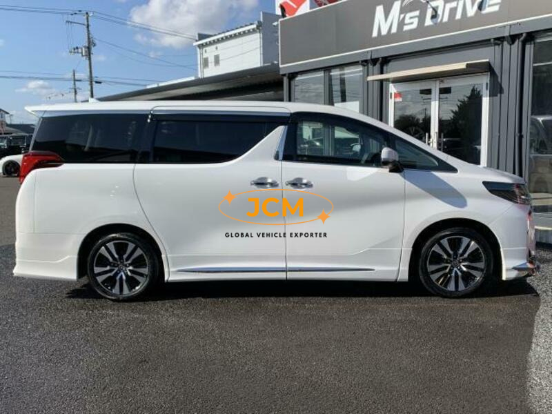 
								2019 TOYOTA ALPHARD DBA-AGH30W full									