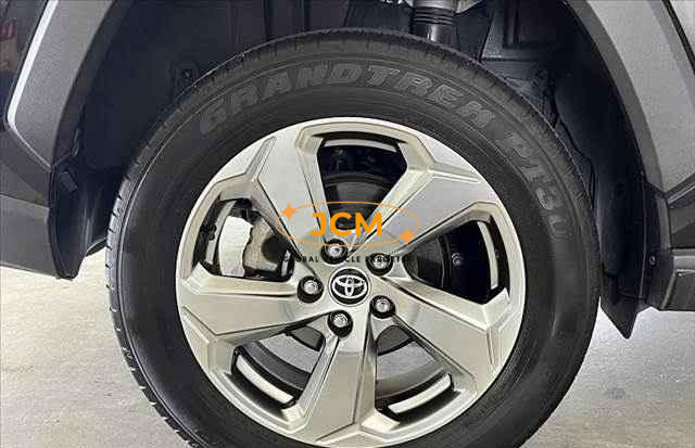 
								2019 TOYOTA RAV4 full									