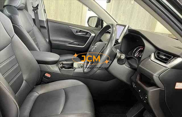 
								2019 TOYOTA RAV4 full									