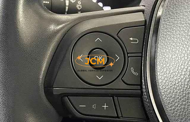 
								2019 TOYOTA RAV4 full									