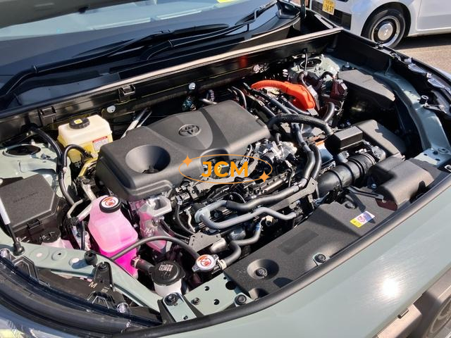 
								2025 TOYOTA RAV4 HYBRID ADVENTURE full									