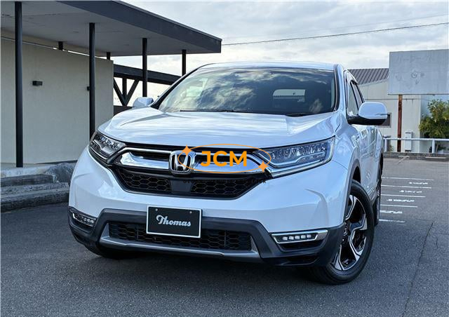 
								2019 HONDA CR-V EX full									